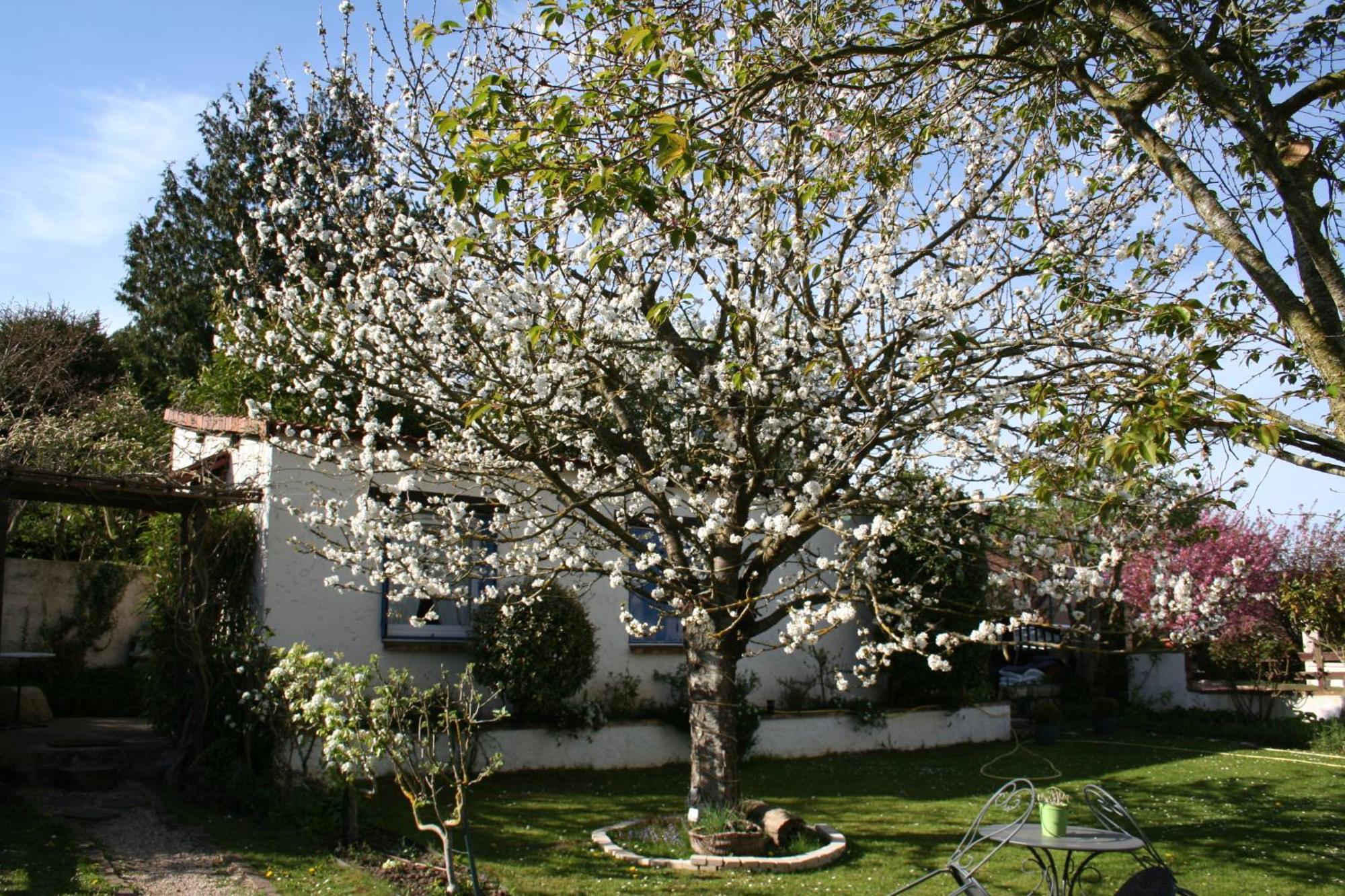 Le Cerisier Bed & Breakfast Mareil-Marly Bagian luar foto