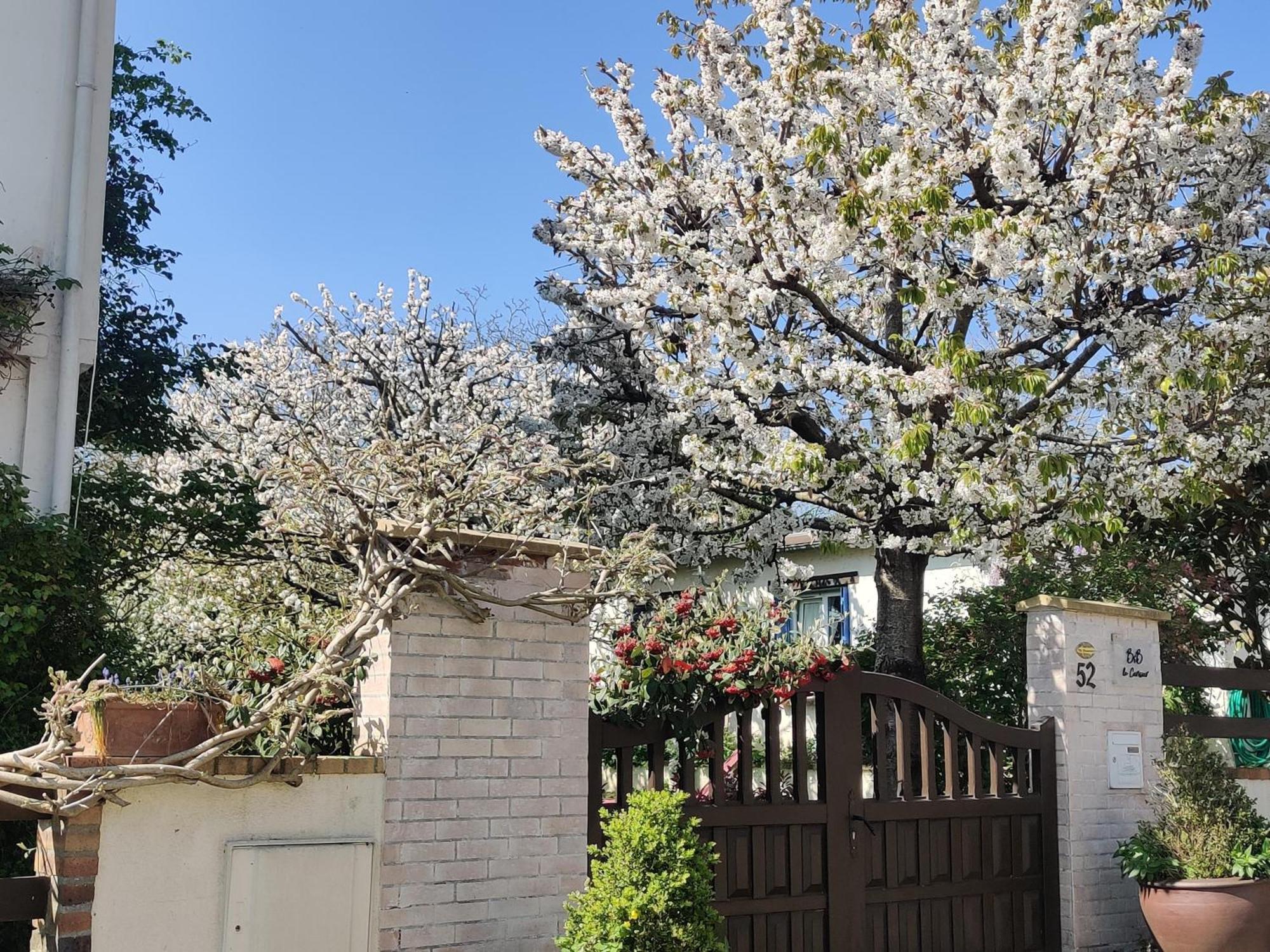 Le Cerisier Bed & Breakfast Mareil-Marly Bagian luar foto