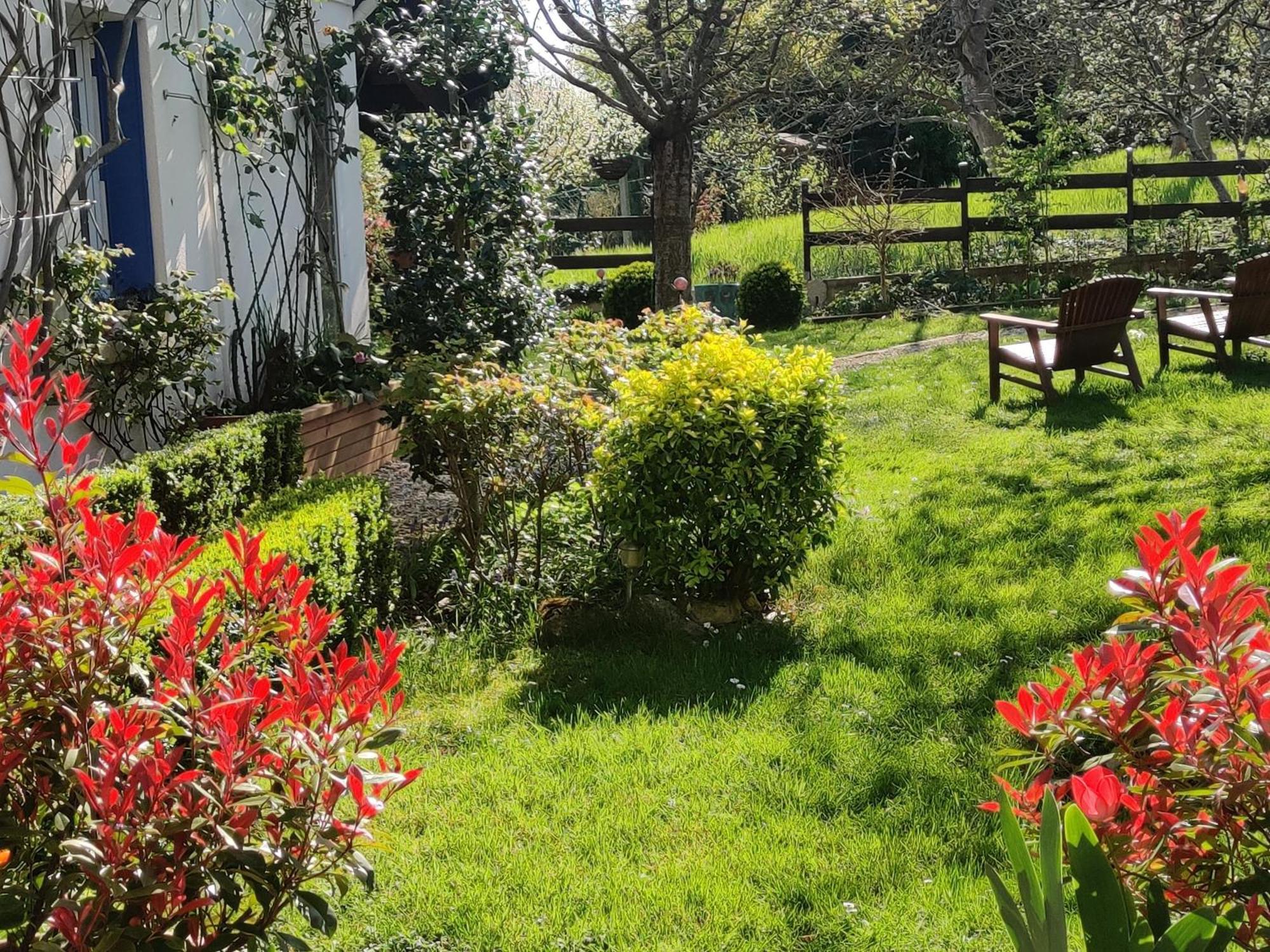 Le Cerisier Bed & Breakfast Mareil-Marly Bagian luar foto
